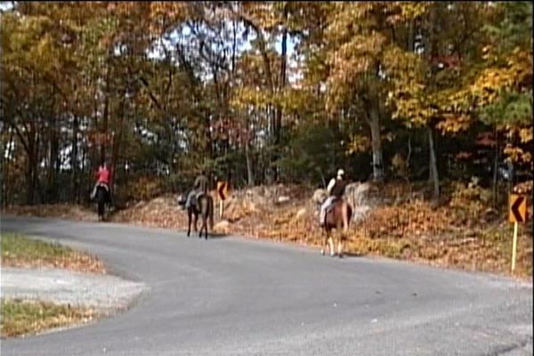 Product picture Horseback Riding 135MB Royalty Free