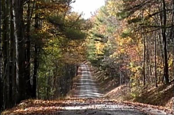 Product picture Falling Leaves on Road, AVI, Full Screen, NTSC, 720X480, RF